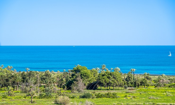 Sale - Penthouse - Orihuela Costa - Punta Prima