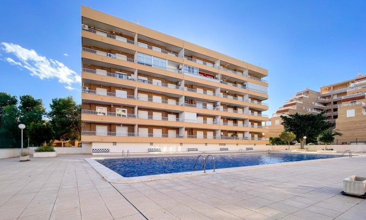 Sale - Penthouse - Orihuela Costa - Punta Prima