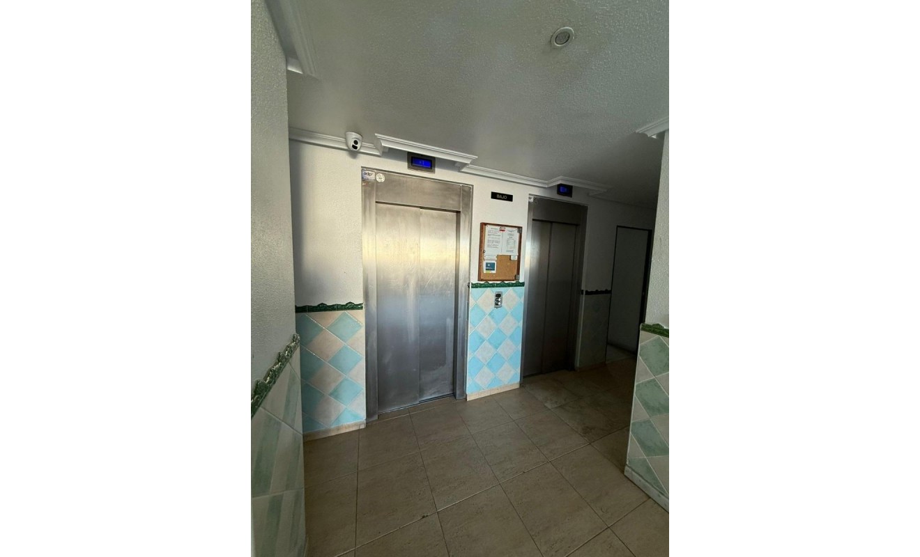 Revente - Appartement - Torrevieja - torrevieja