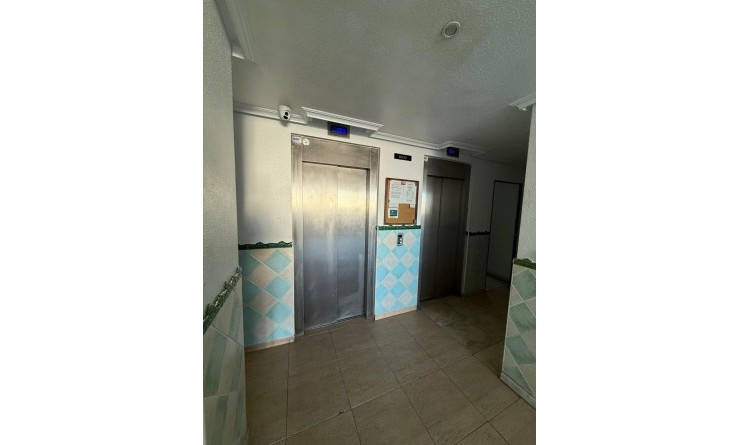 Revente - Appartement - Torrevieja - torrevieja