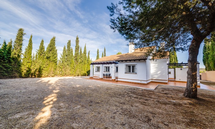 Nieuwbouw woningen - Detached - Fuente Álamo - Fuente Alamo