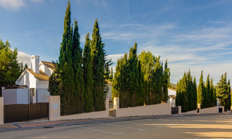 Nieuwbouw woningen - Detached - Fuente Álamo - Fuente Alamo