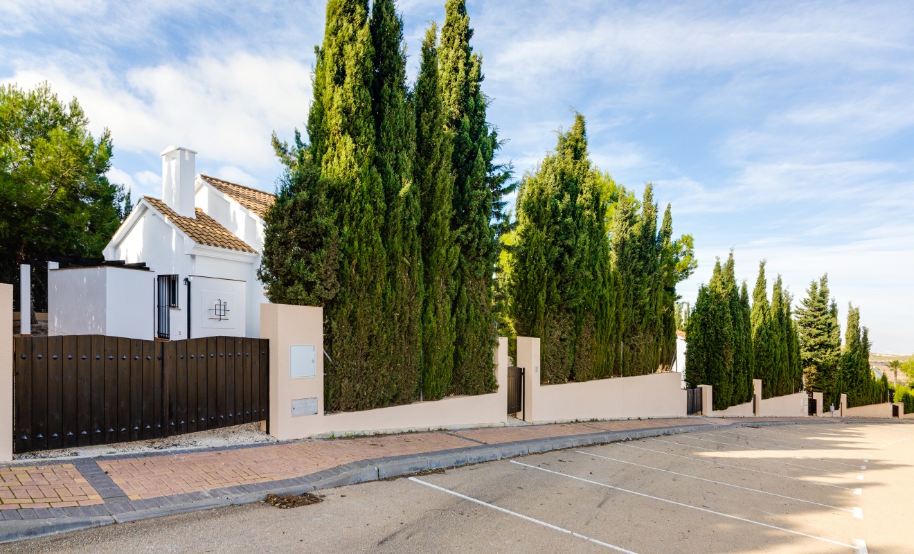 Nieuwbouw woningen - Detached - Fuente Álamo - Fuente Alamo