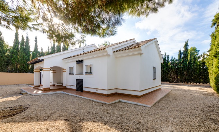 Nieuwbouw woningen - Detached - Fuente Álamo - Fuente Alamo