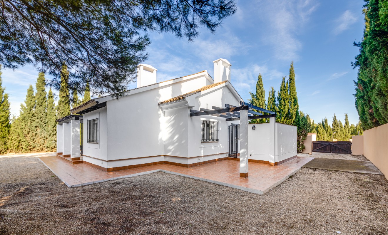 Nieuwbouw woningen - Detached - Fuente Álamo - Fuente Alamo