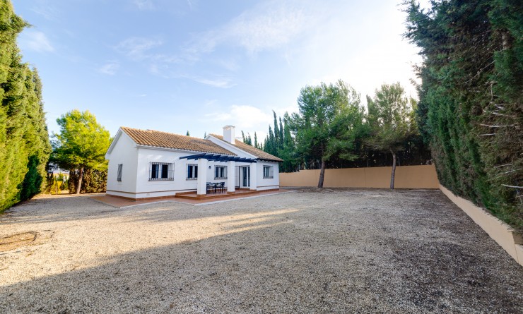 Nieuwbouw woningen - Detached - Fuente Álamo - Fuente Alamo