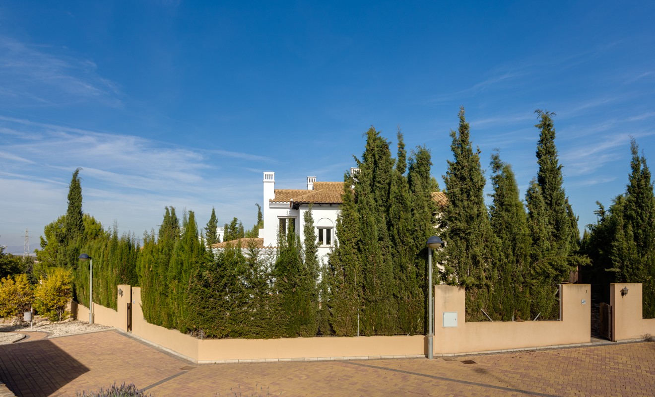 Nieuwbouw woningen - Detached - Fuente Álamo - Fuente Alamo