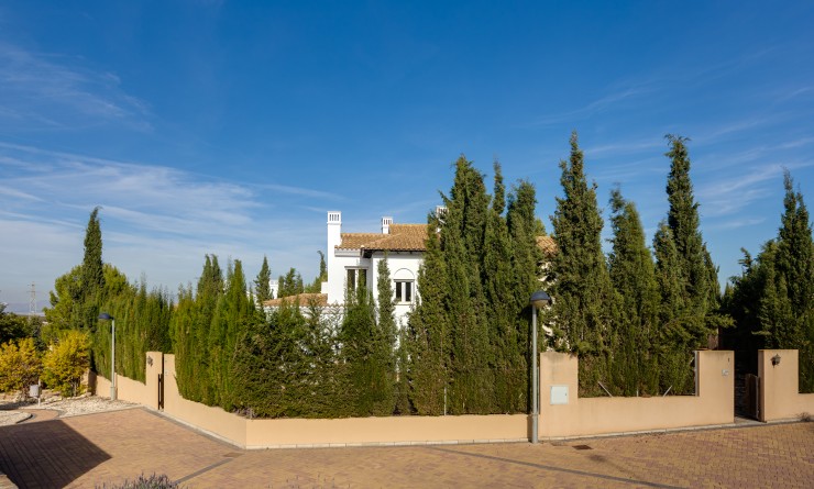 Nieuwbouw woningen - Detached - Fuente Álamo - Fuente Alamo