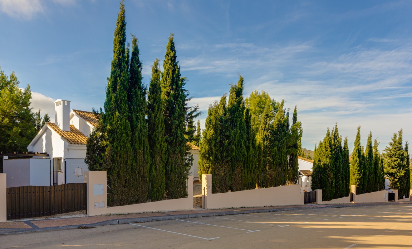 Nieuwbouw woningen - terraced - Fuente Álamo - Fuente Alamo