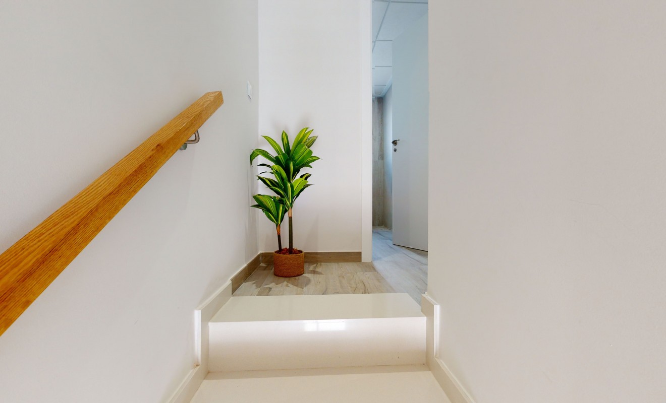 Nouvelle construction - Appartement - Pilar de la Horadada