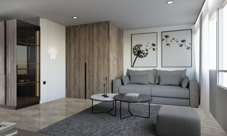 Nouvelle construction - Attique - Alicante (Alacant)