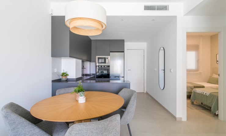 New Build - Penthouse - Torrevieja - torrevieja