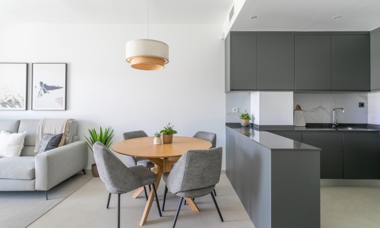 New Build - Penthouse - Torrevieja - torrevieja