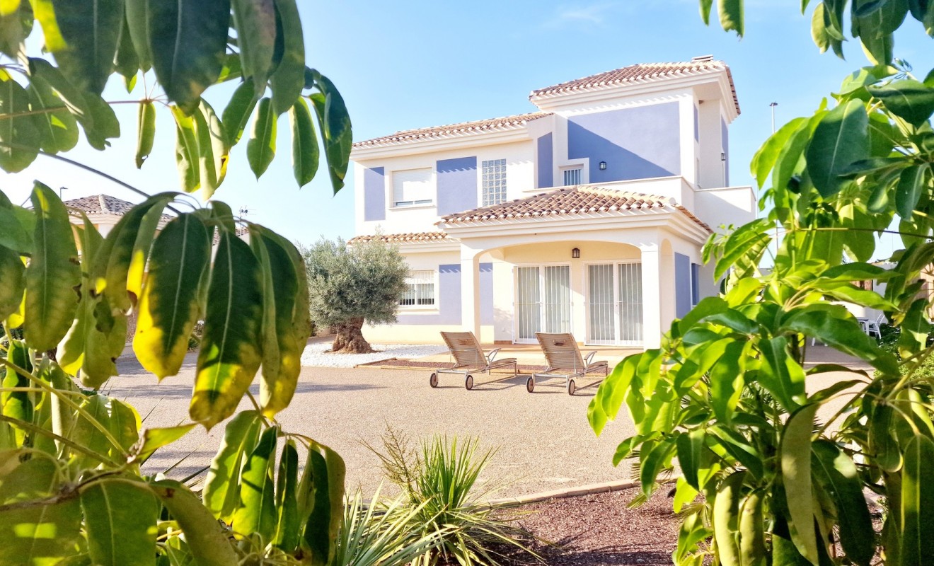 Nieuwbouw woningen - Detached - Purias