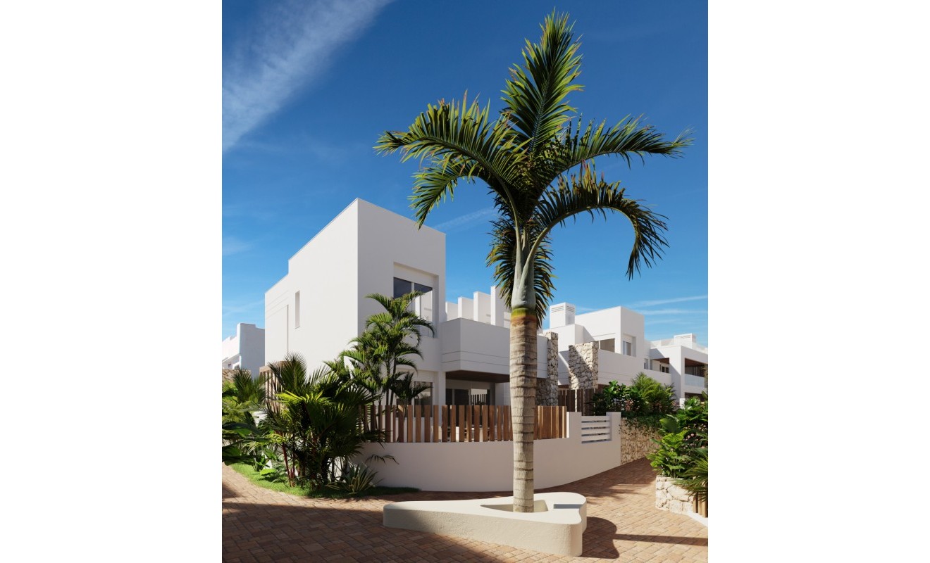 Nouvelle construction - Detached - San Juan de los Terreros