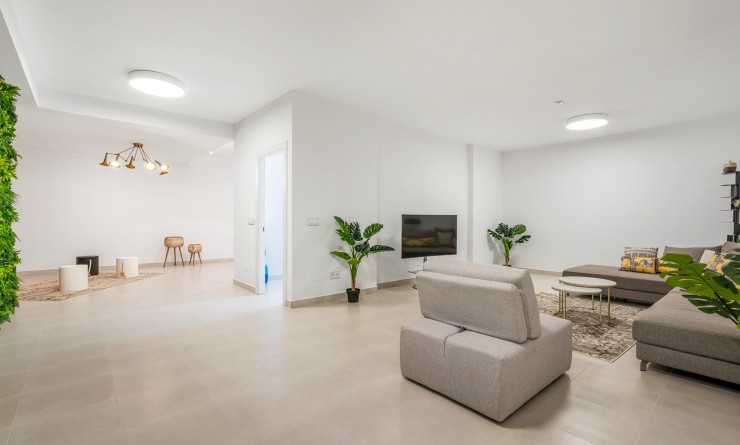 New Build - Detached - Playa Paraiso