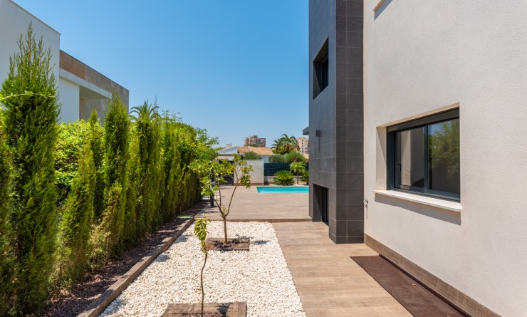 Nieuwbouw woningen - Detached - Playa Paraiso