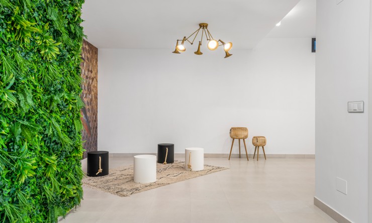 Nieuwbouw woningen - Detached - Playa Paraiso