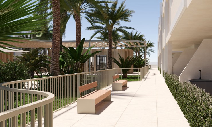 Nouvelle construction - Attique - Torre-Pacheco