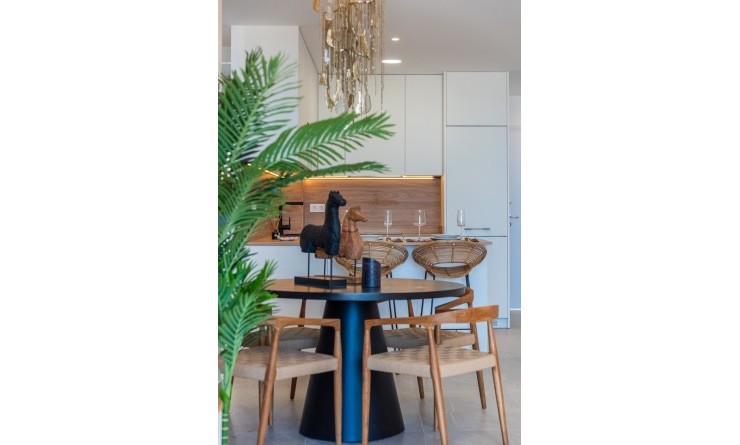 Nieuwbouw woningen - Penthouse - Benijofar