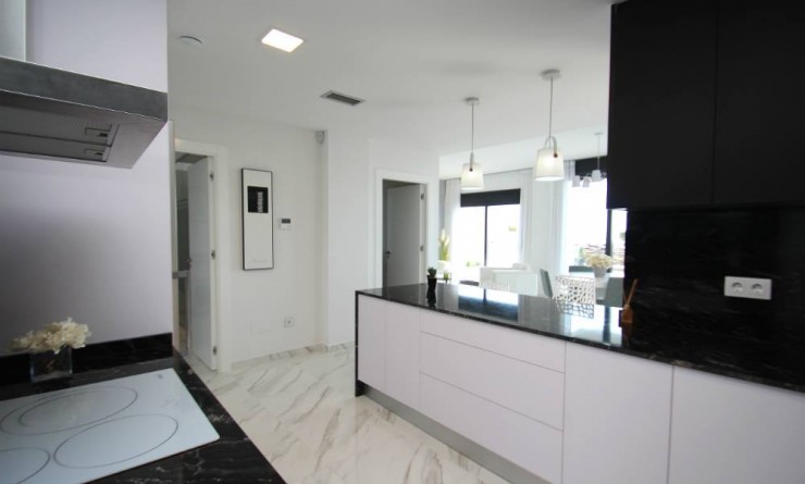 Nouvelle construction - Villa - San Miguel de Salinas
