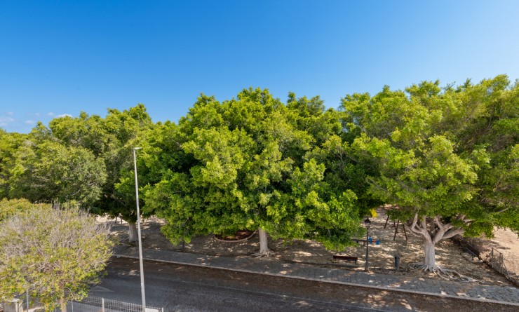 Nouvelle construction - Detached - Pilar de la Horadada