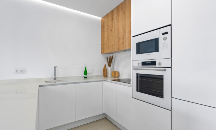 Nouvelle construction - Detached - Pilar de la Horadada