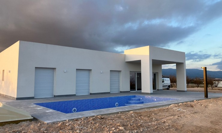 Nieuwbouw woningen - Detached - Pinoso