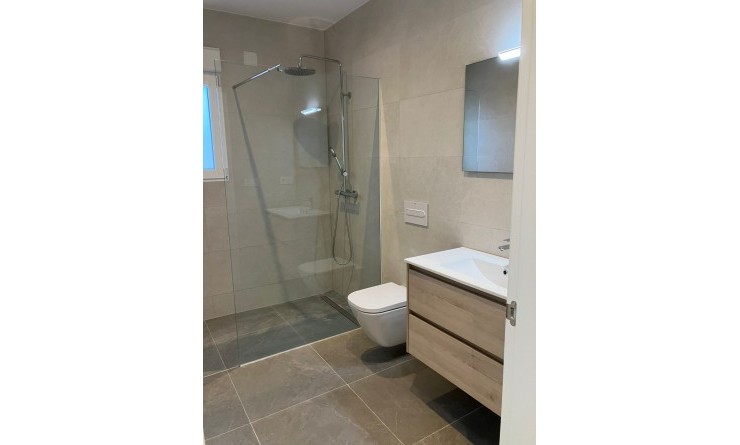 Nieuwbouw woningen - Detached - Pinoso