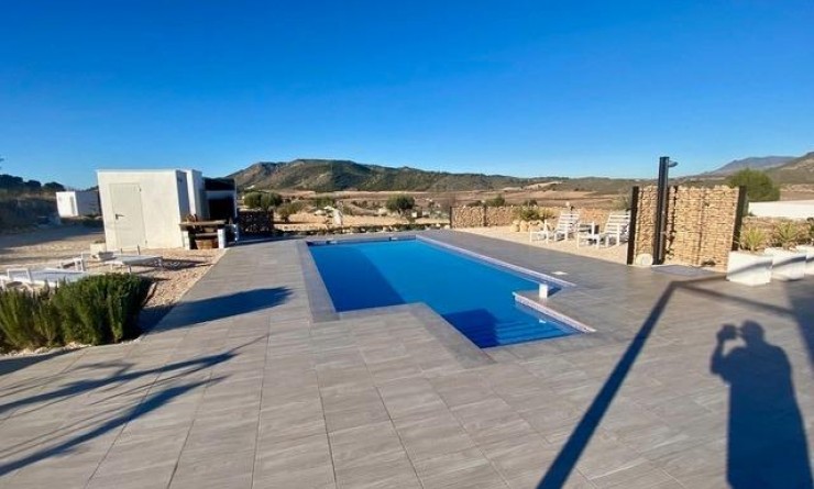 New Build - Detached - Torre del Rico