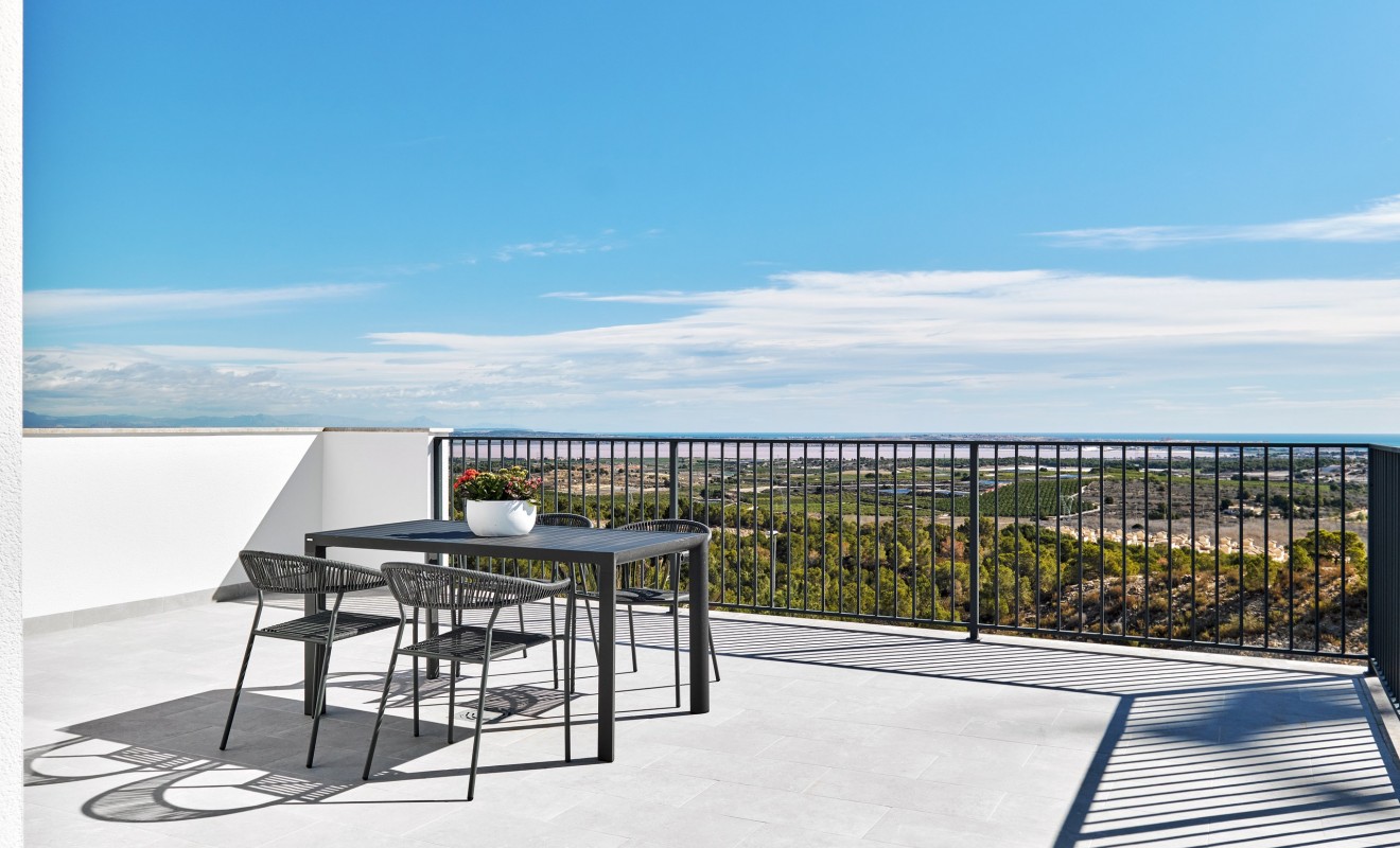 Nouvelle construction - Villa - San Miguel de Salinas