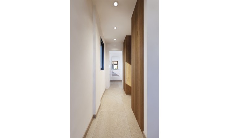 Nouvelle construction - Villa - San Miguel de Salinas