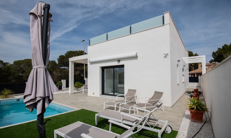 Nieuwbouw woningen - Detached - Pinar de Campoverde
