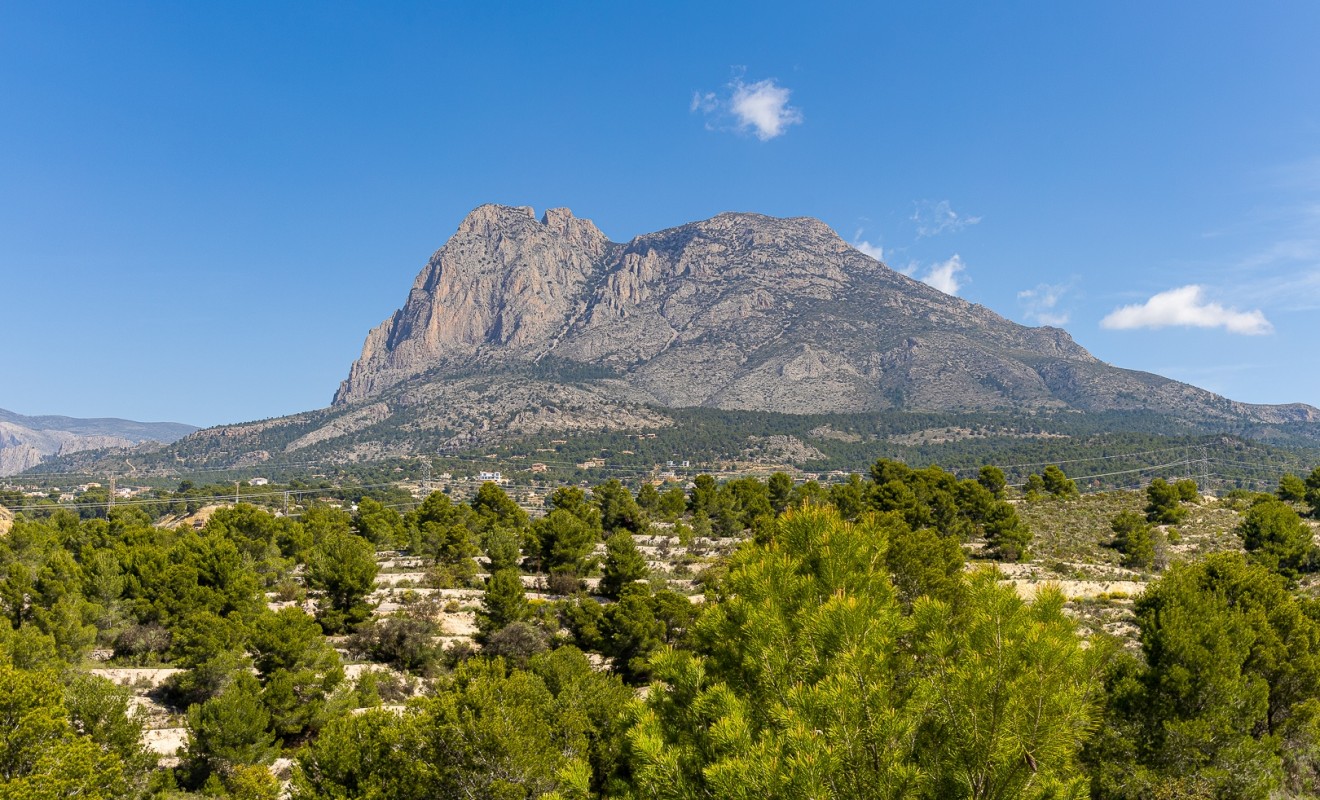 Nieuwbouw woningen - Detached - Finestrat