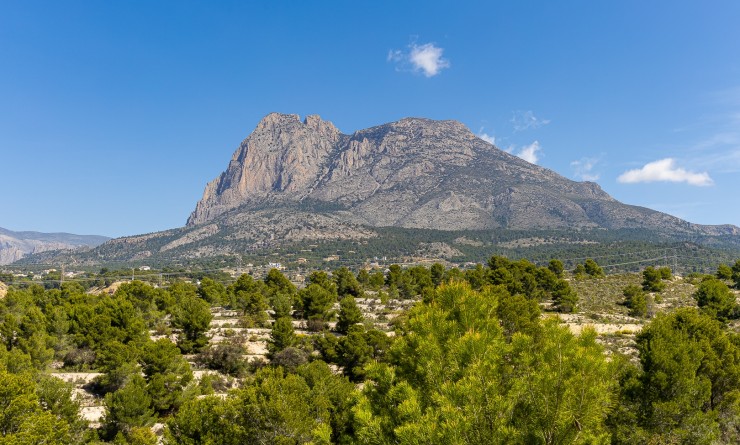 Nieuwbouw woningen - Detached - Finestrat