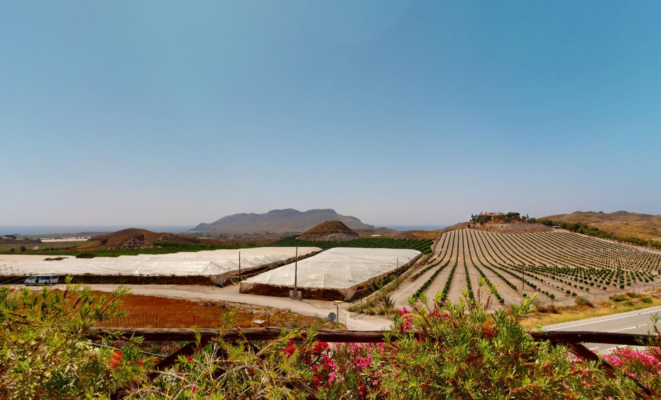 Nouvelle construction - Detached - Águilas