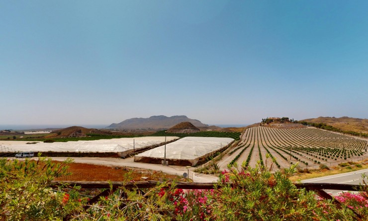 Nouvelle construction - Detached - Águilas