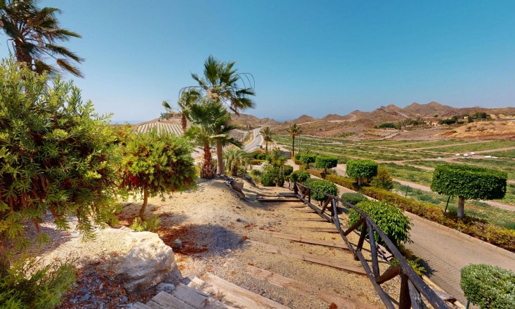 Nouvelle construction - Detached - Águilas