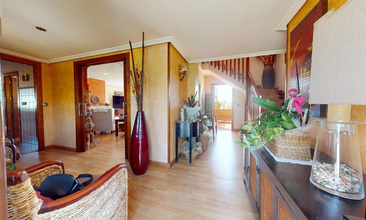 Nouvelle construction - Detached - Águilas