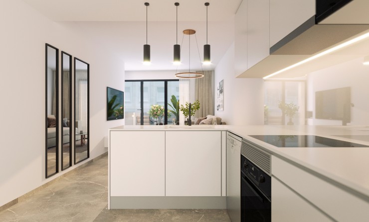 New Build - Penthouse - Torrevieja - torrevieja