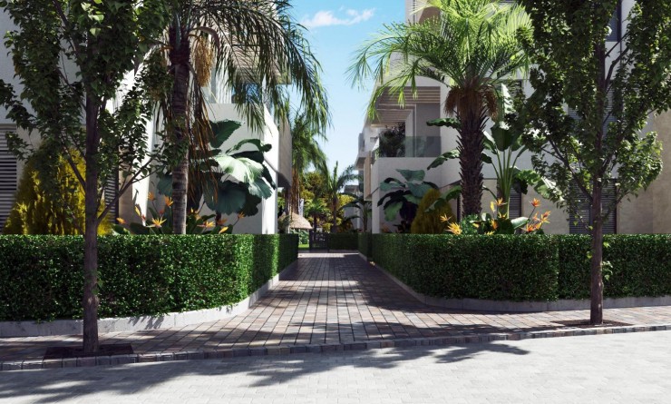 Nouvelle construction - Appartement - Santa Rosalia