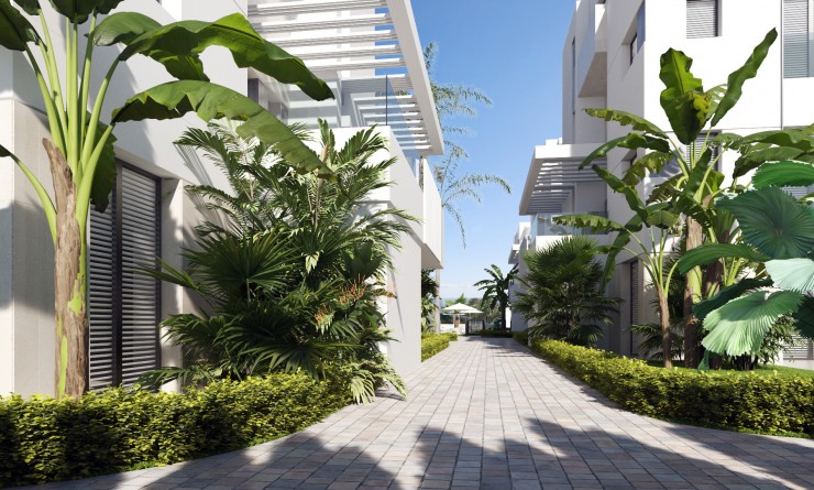 Nouvelle construction - Appartement - Santa Rosalia