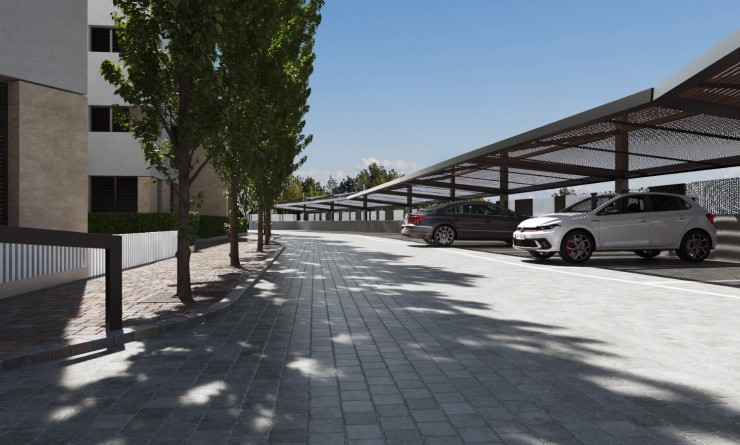 Nouvelle construction - Appartement - Santa Rosalia