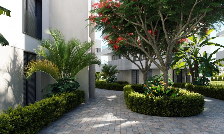 Nouvelle construction - Appartement - Santa Rosalia