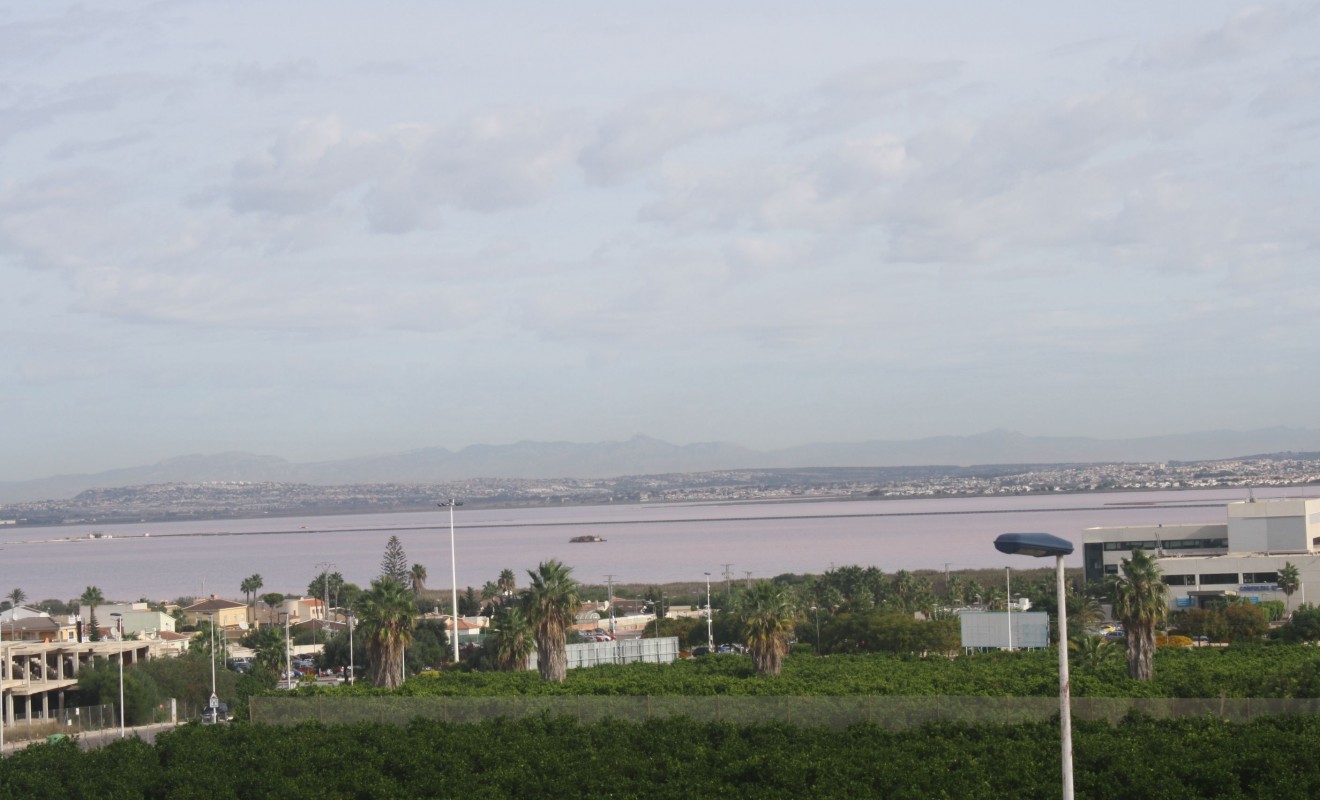Nieuwbouw woningen - terraced - Torrevieja - torrevieja