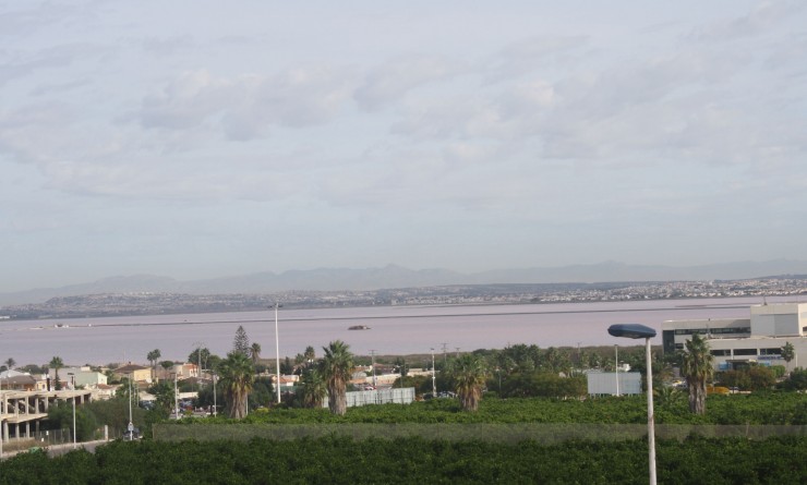 Nieuwbouw woningen - terraced - Torrevieja - torrevieja