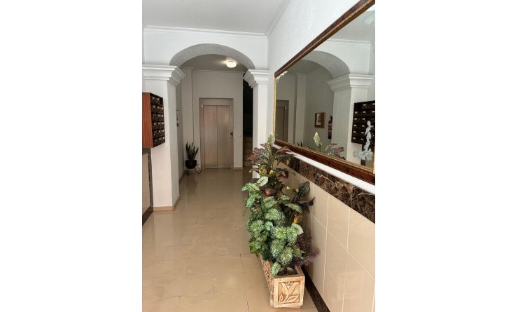 Wederverkoop - Appartement - Almoradí