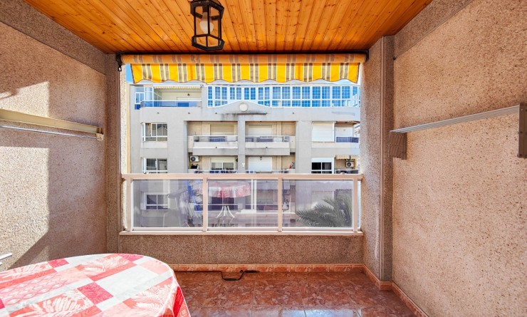 Location longue durée - Appartement - Torrevieja - Playa del Cura