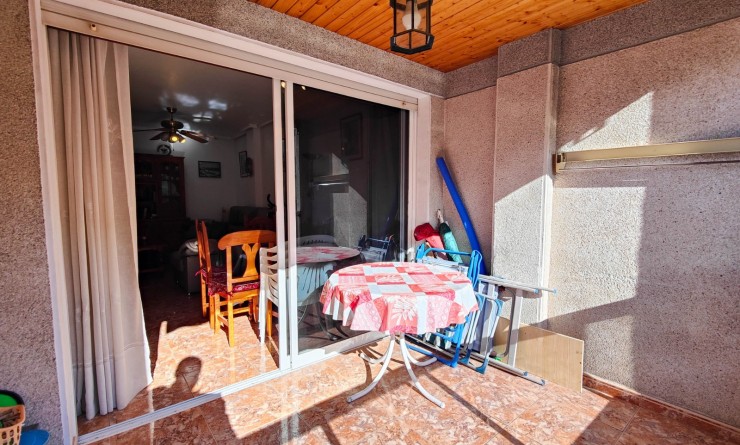 Location longue durée - Appartement - Torrevieja - Playa del Cura