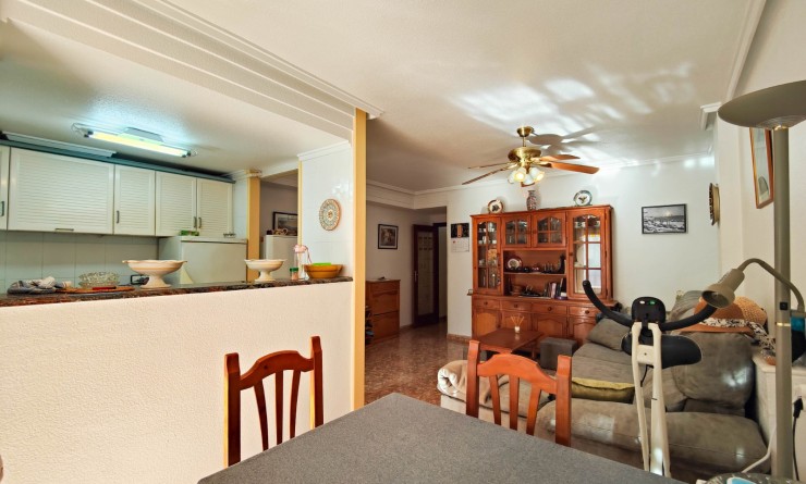 Location longue durée - Appartement - Torrevieja - Playa del Cura